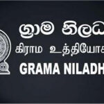 කෙහෙළියගේ පවුලේ මිලියන ගණනක ගිණුම්, ජීවිත රක්ෂණ අත්හිටුවයි