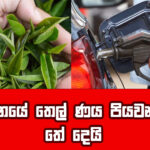 කුවේට් පොදු සමා කාලයේදි ලංකාවට 10615ක් ආපසු ඇවිත්