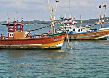 ලංකාවේදී ඇල්ලූ තමිල්නාඩු ධීවරයන් 37 වහා නිදහස් කරන්න!