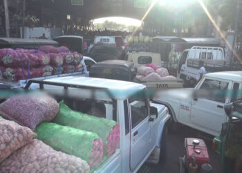 දඹුල්ලට එළවළු ගඟක්!