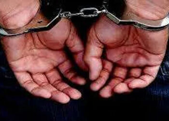 හරක්කටා”ගේ ප්‍රධාන ගොලයා වන ”ආමි චූටි” අත්අඩංගුවට