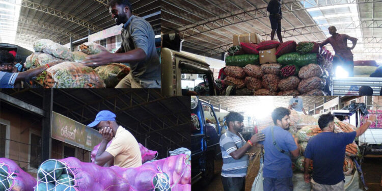 දඹුල්ලේ එළවළු මිල ලෙල්ලටම බසියි