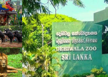සත්වෝද්යාන නොමිලේ නැරඹීමට අද විශේෂ අවස්ථාවක්!