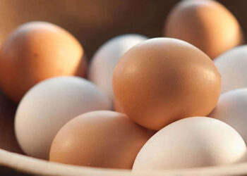 බිත්තර වෙළෙඳ සංගම් මිල සූත්‍රයක් ඉල්ලයි