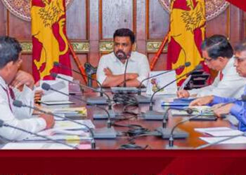 කන්තලේ සීනි සමාගමට අයත් ඉඩම් අක්කර 11,000ක් කෙටිකාලීන බෝග වගාවන් සඳහා ගොවීන්ට
