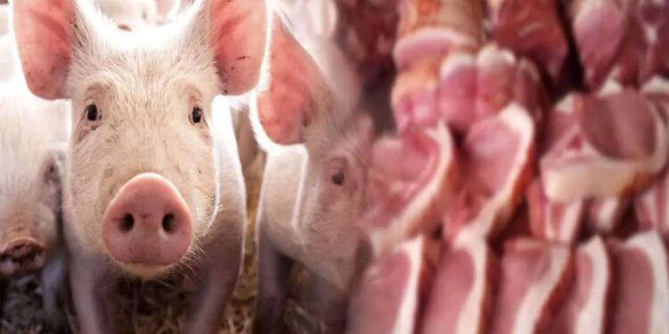 වෛරසයෙන් මිය යන ඌරන්ගේ මස් වෙළෙඳසල්වල