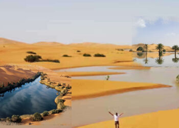 අඩසිය වසකට පසු සහරා කාන්තාරයට මහ වැසි