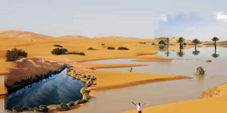 අඩසිය වසකට පසු සහරා කාන්තාරයට මහ වැසි