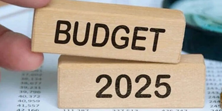 2025 අයවැය ජනවාරි 09