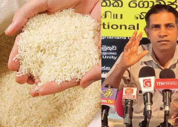 නාඩු මෙ. ටොන් ලක්‍ෂ 22ක් මෝල්ලු හංගලා