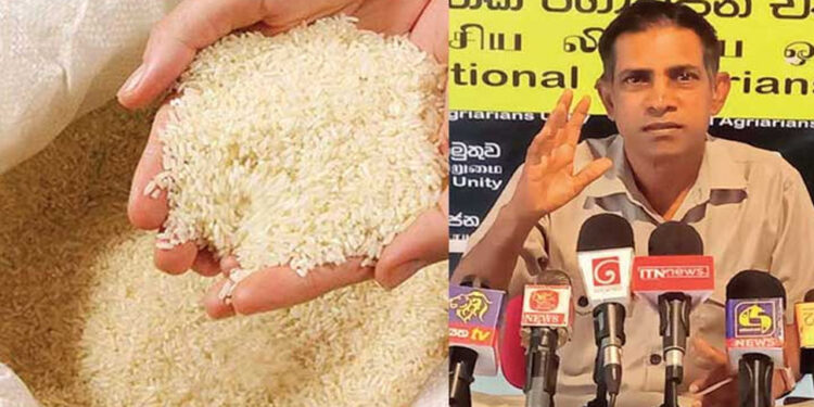 නාඩු මෙ. ටොන් ලක්‍ෂ 22ක් මෝල්ලු හංගලා