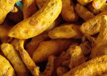 කොළඹ කහ ගබඩාවකට සීල්