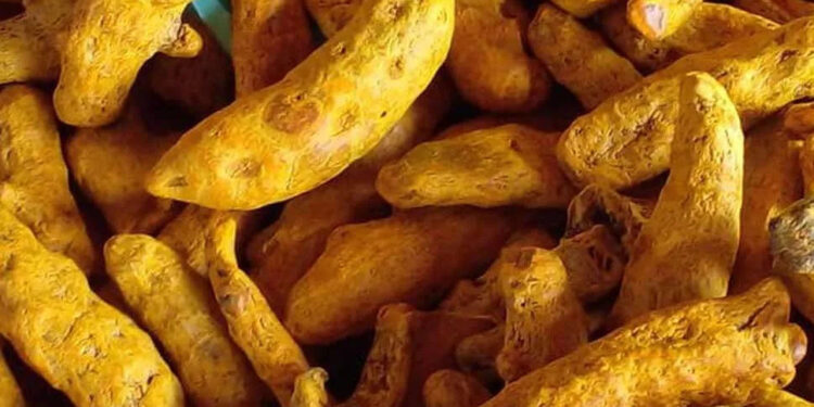 කොළඹ කහ ගබඩාවකට සීල්