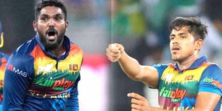 වනිඳු හා මහීෂ්ව රාජස්ථාන් මිලදී ගනියි