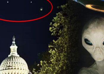 වොෂිංටනයට පියාඹන පීරිසි ඇවිත්?