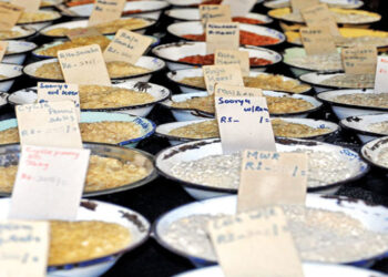 සහල් ගෙන්වන්න දුන්න කාලය දිගුවේ!