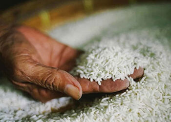 තුත්තුකුඩියෙන් සහල් ටොන් 10,000 එයි