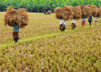 වී කිලෝවක මිලත් ඉහළ දමන්නැයි ඉල්ලයි