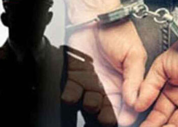 සොරකමේ ගිය සැරයන් මාට්ටු