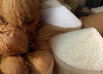 සහල් පොල් ගැටලුව විසඳෙයි | පොල් ගෙඩියක් 130යි