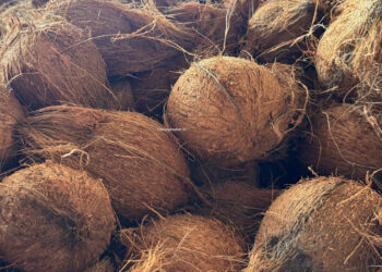 පොල් ගෙඩි මිලියන 200ක් පිට රටින්