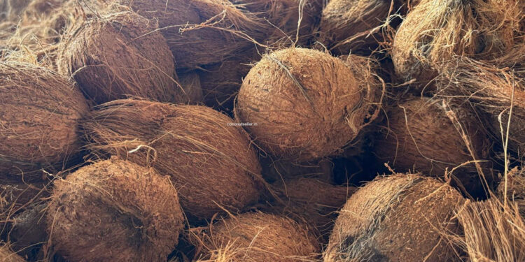 පොල් ගෙඩි මිලියන 200ක් පිට රටින්