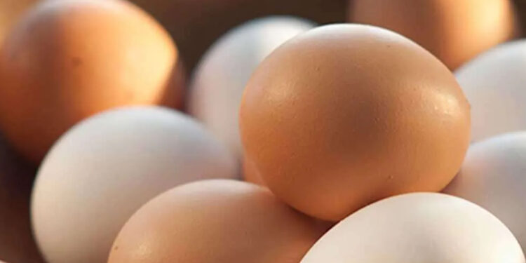 බිත්තරයක තොග මිල රු. 35ක් දක්වා ඉහළට