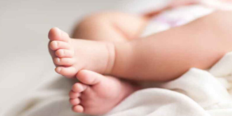 ඇළට වැටී සිඟිත්තිය මරුට