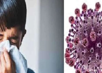 චීනයේ HMPV වෛරසය ඉන්දියාවට – ආසාදනය වූ බිළින්ඳන් දෙදෙනෙක් සොයා ගැනේ