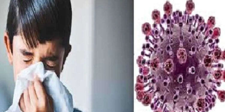 චීනයේ HMPV වෛරසය ඉන්දියාවට – ආසාදනය වූ බිළින්ඳන් දෙදෙනෙක් සොයා ගැනේ