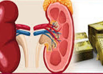 වකුගඩු රෝගී දීමනාව රුපියල් 10,000 ක් වෙයි