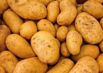 වරායේ අල ටෙන්ඩර් මගඩියකින් රජයට කෝටියක් පාඩු කරලා