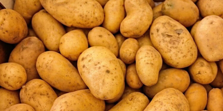 වරායේ අල ටෙන්ඩර් මගඩියකින් රජයට කෝටියක් පාඩු කරලා