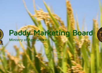 වී අලෙවි මණ්ඩලය නැවත සක්‍රීය කරනවා