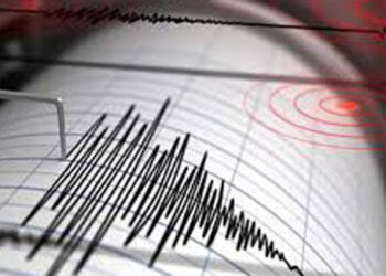 දිල්ලියේ භූ කම්පනයක්