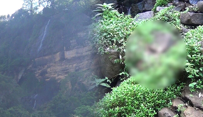 බිසෝඇල්ලෙන් වැටී තරුණයෙක් මිය යයි