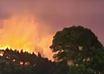 සිංගිමලේ ගින්න පාලනය කරයි