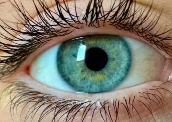 අලුත් පාටක් සොයා ගැනේ