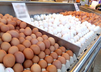 බිත්තර මිල ඉහළ යයි !