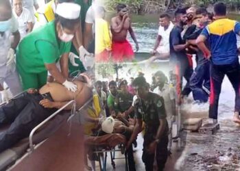 ගුවන් අනතුරින් මිය ගිය ගණන සහ තවත් තොරතුරු