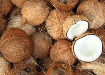 පොල් මිලට තරු පෙනෙයි