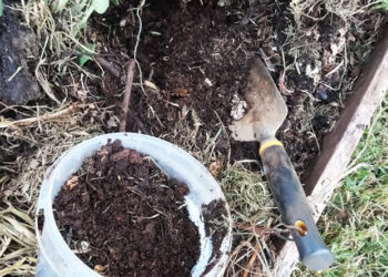 පොහොර වංචාවක් – 12ක් අත්අඩංගුවට