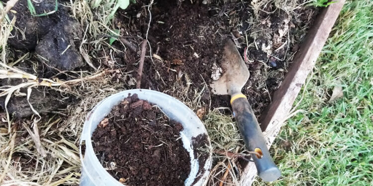 පොහොර වංචාවක් – 12ක් අත්අඩංගුවට