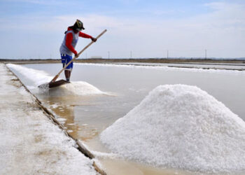 ලුණු දැම්ම එන්නෑ !