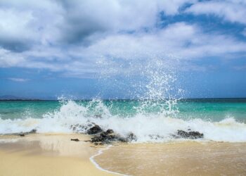 කළුතර මුහුදු වෙරළට ආ ආගන්තුකයෝ