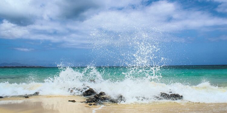 කළුතර මුහුදු වෙරළට ආ ආගන්තුකයෝ