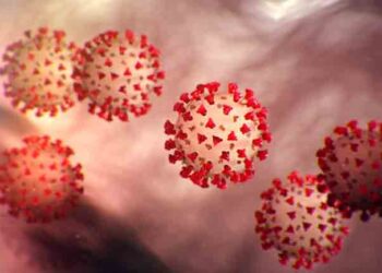 යළිත් ලොක් ඩවුන් යුගයක් ? තීරණය අද