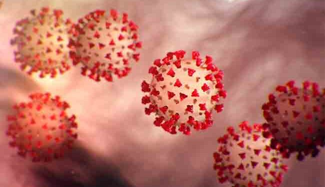 යළිත් ලොක් ඩවුන් යුගයක් ? තීරණය අද