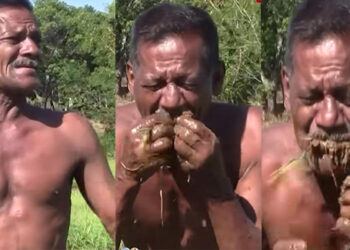 ගොවියෝ විලාප තියමින් මඩ කයි