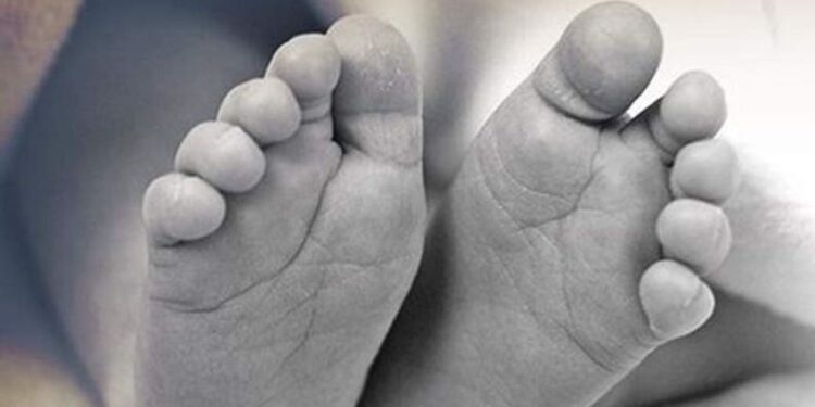 කුඹුරකට විසි වූ දරු සෙනෙහස